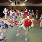 taekwondo-ados-travail
