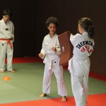 taekwondo-enfants-exercice