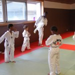 taekwondo-enfants-exercice