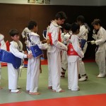 taekwondo-ados-plastron
